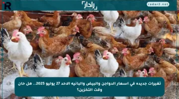 تغيرات جديدة في أسعار الدواجن والبيض والبانية الأحد 27 يوليو 2025.. هل حان وقت التخزين؟